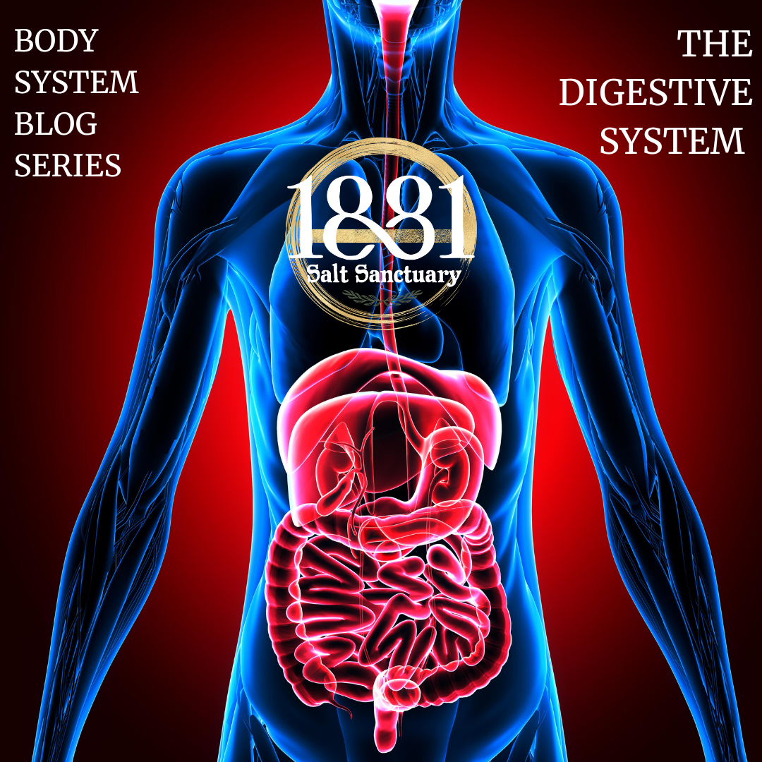 The Digestive System